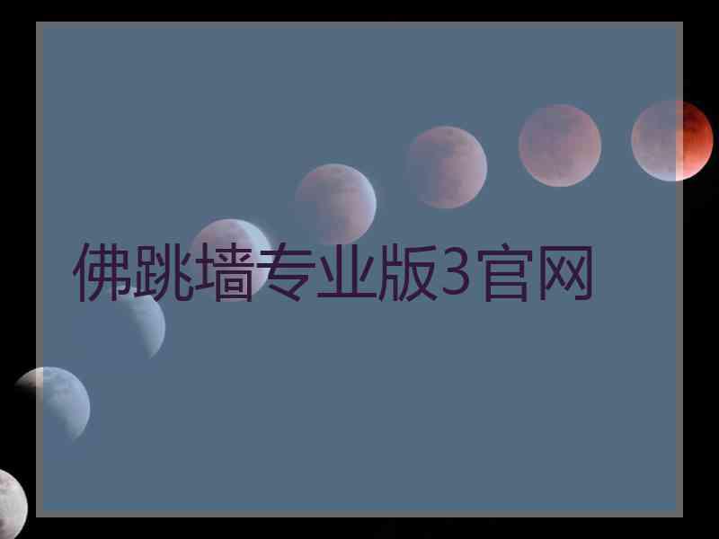 佛跳墙专业版3官网