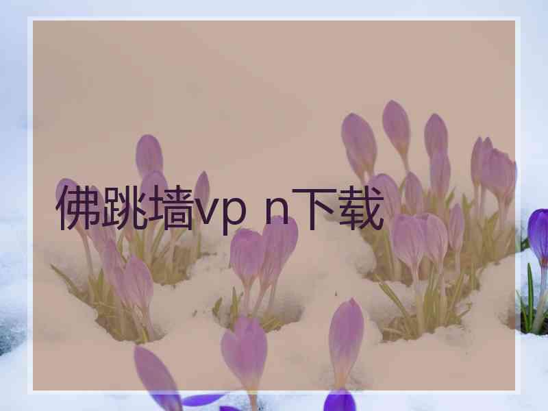 佛跳墙vp n下载