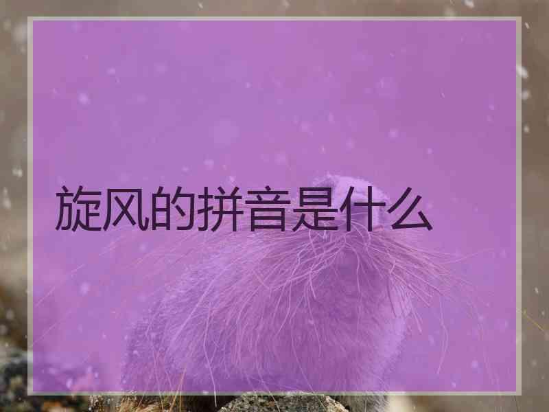 旋风的拼音是什么
