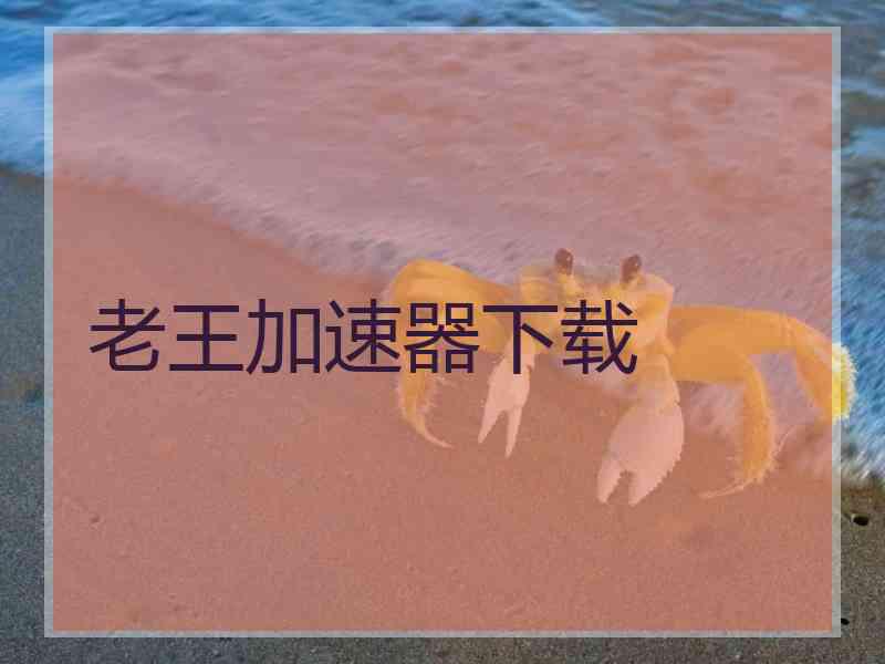 老王加速器下载