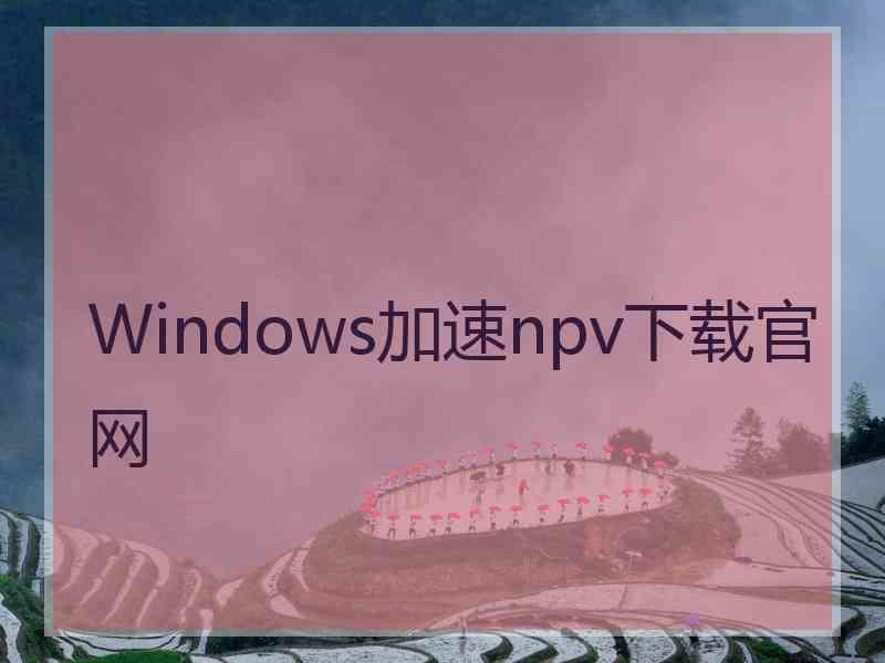 Windows加速npv下载官网