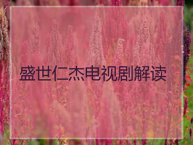 盛世仁杰电视剧解读