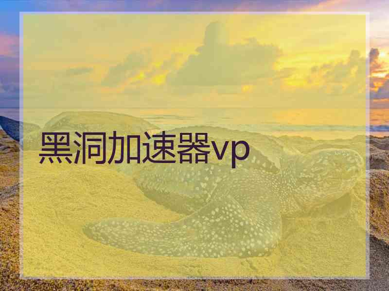 黑洞加速器vp