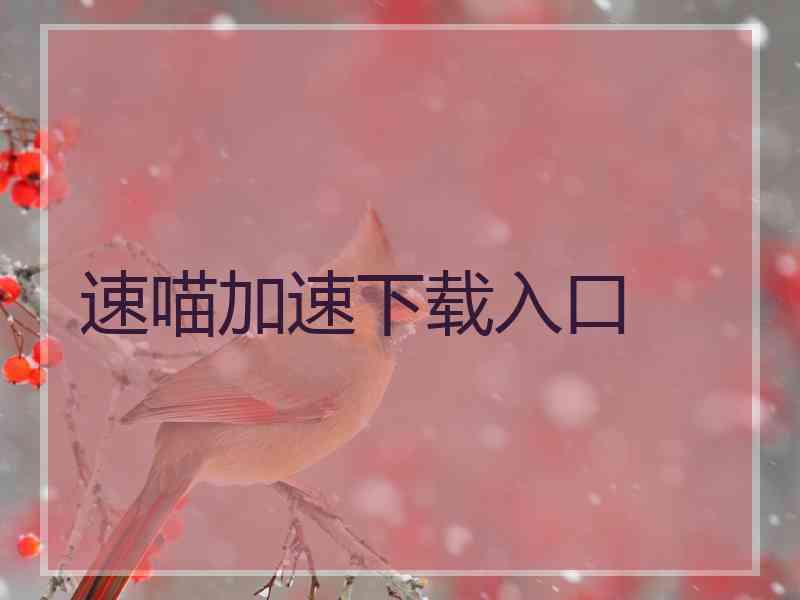 速喵加速下载入口