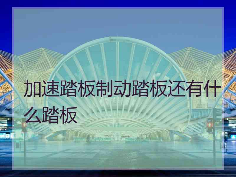 加速踏板制动踏板还有什么踏板