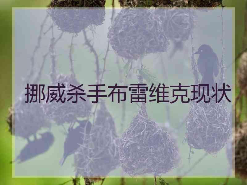挪威杀手布雷维克现状
