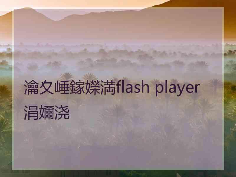 瀹夊崜鎵嬫満flash player涓嬭浇