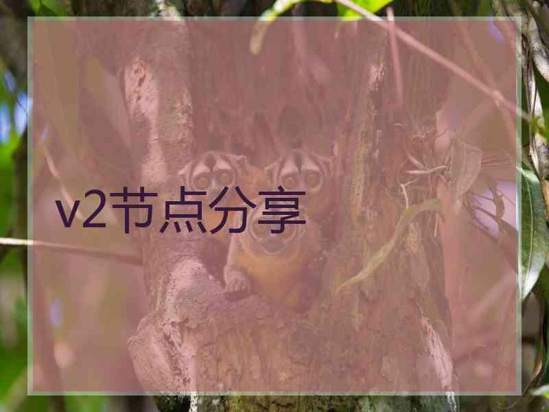 v2节点分享