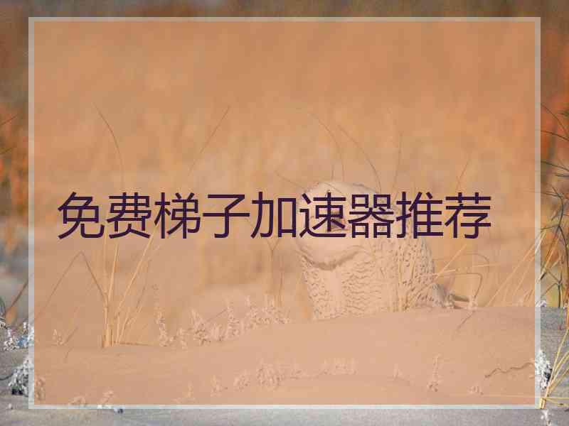 免费梯子加速器推荐