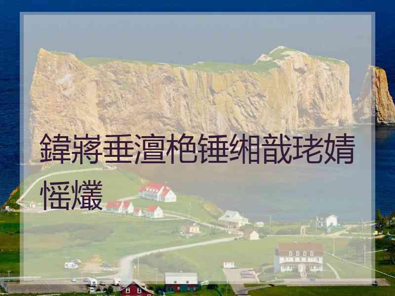 鍏嶈垂澶栬锤缃戠珯婧愮爜