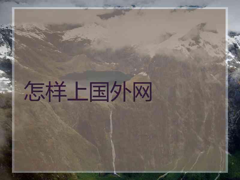 怎样上国外网