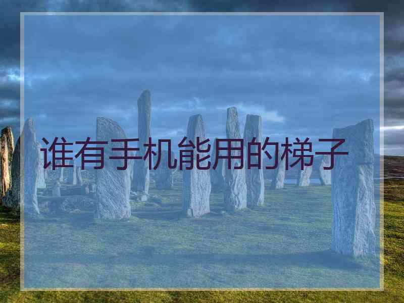 谁有手机能用的梯子
