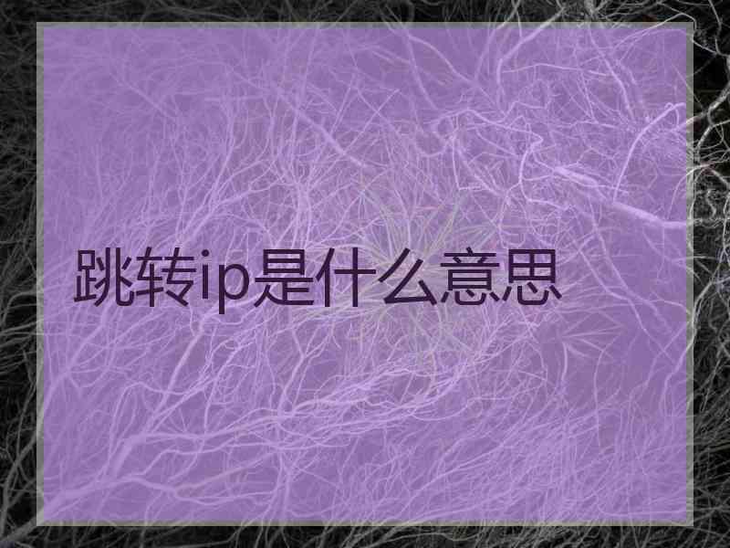 跳转ip是什么意思