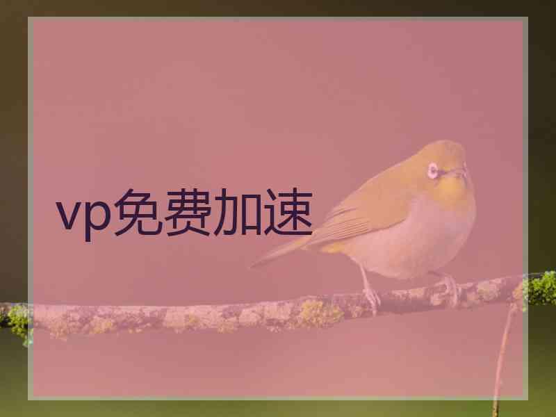 vp免费加速