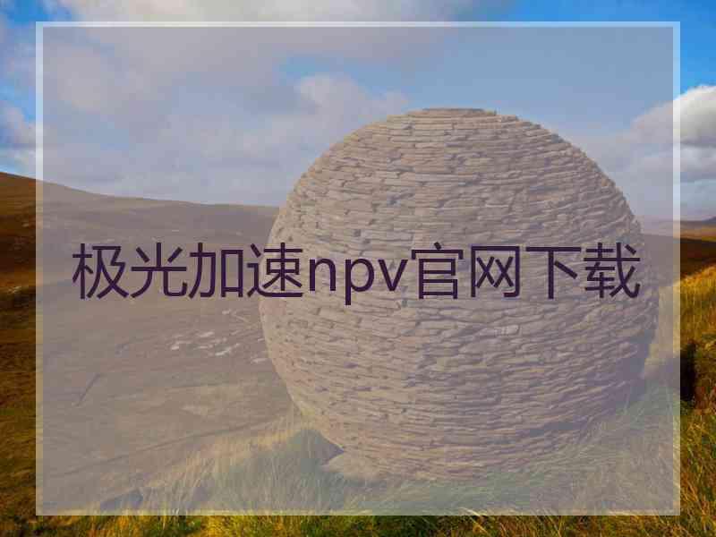 极光加速npv官网下载