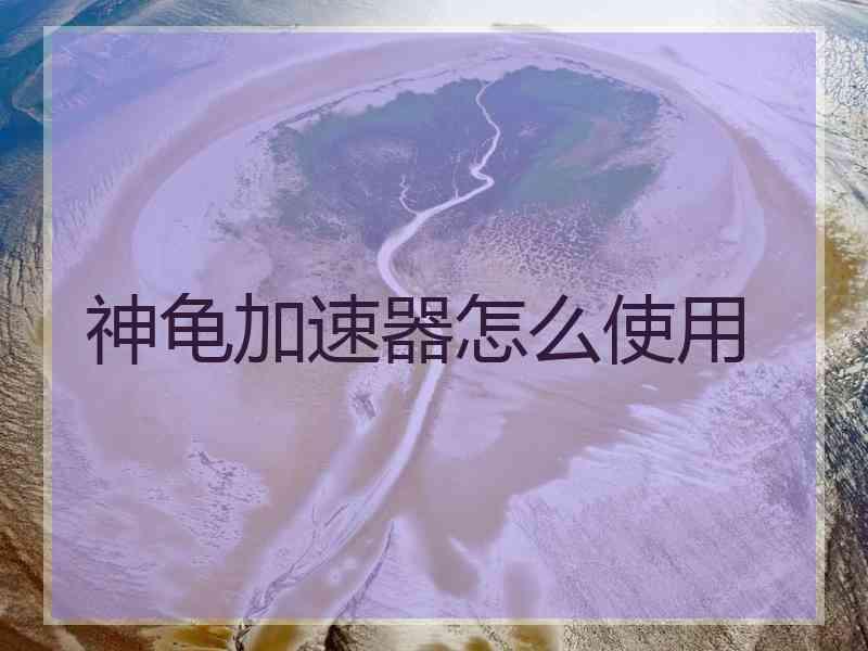 神龟加速器怎么使用