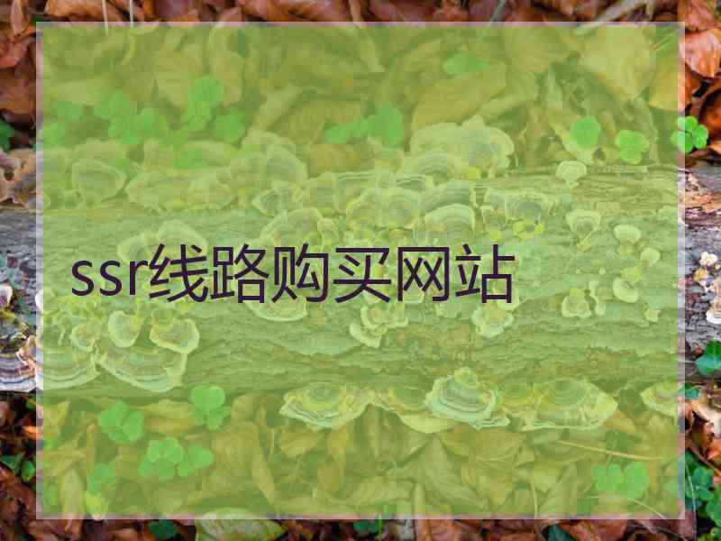 ssr线路购买网站