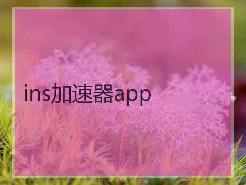 ins加速器app