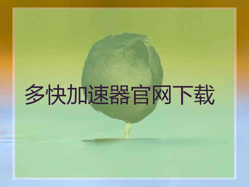 多快加速器官网下载