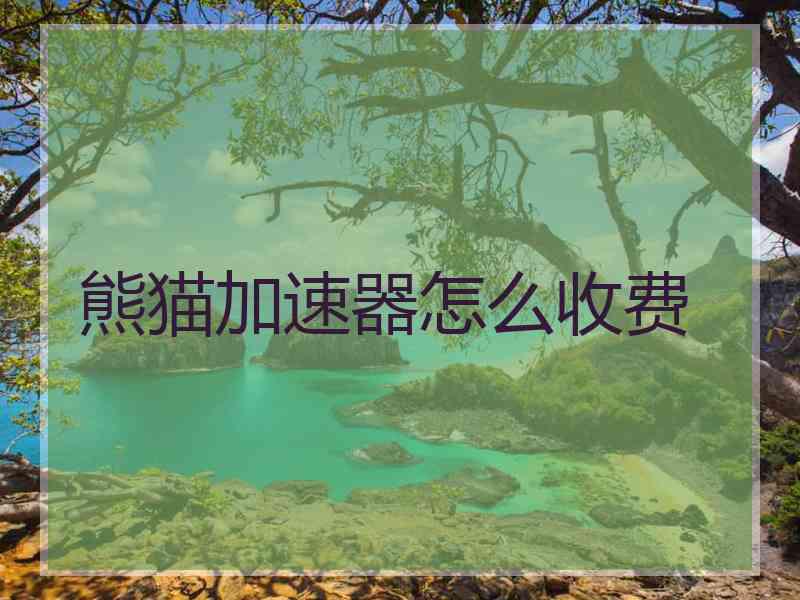 熊猫加速器怎么收费