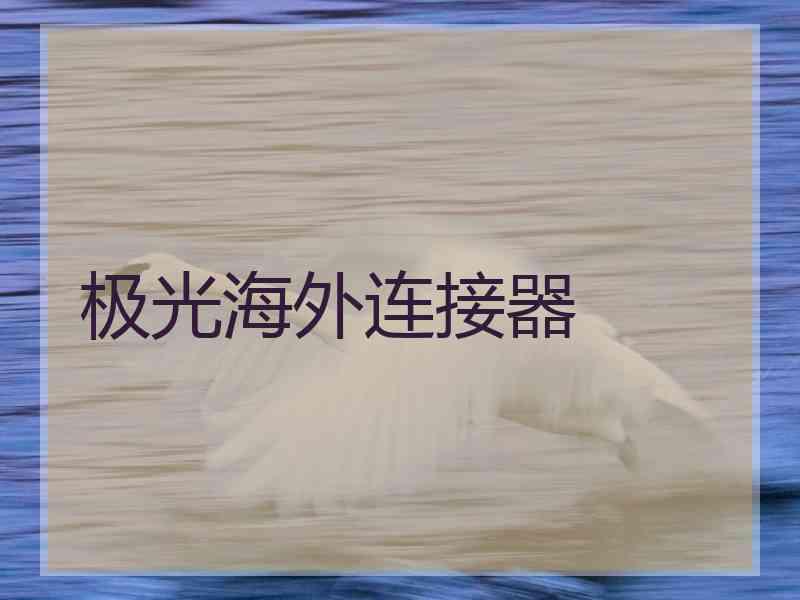 极光海外连接器