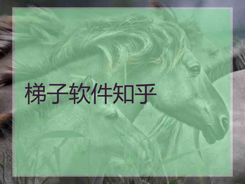 梯子软件知乎