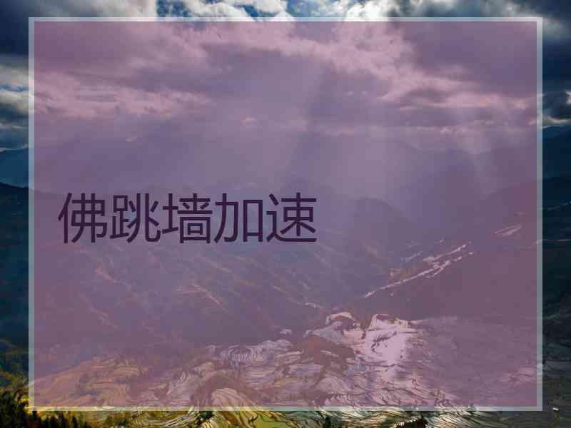 佛跳墙加速