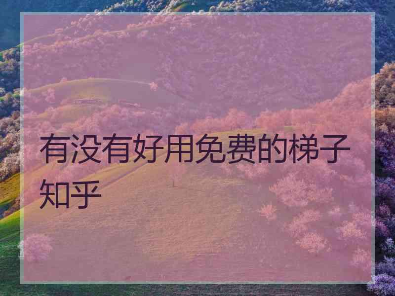 有没有好用免费的梯子 知乎