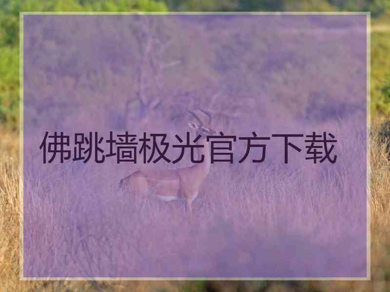 佛跳墙极光官方下载