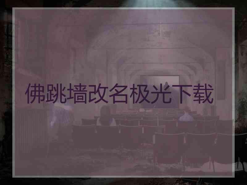 佛跳墙改名极光下载