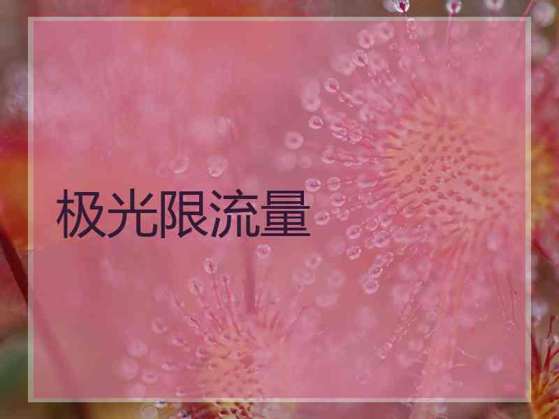 极光限流量