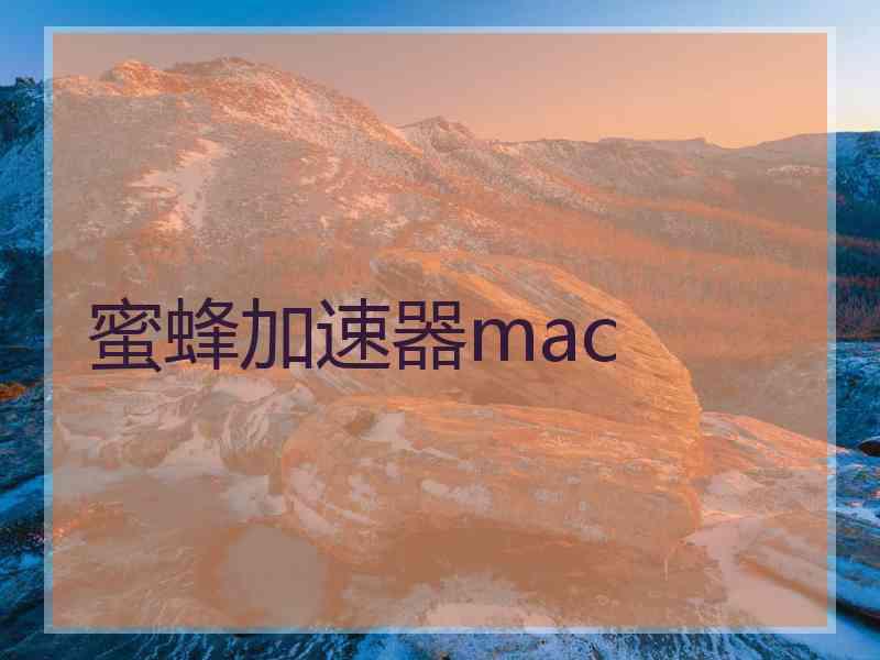 蜜蜂加速器mac