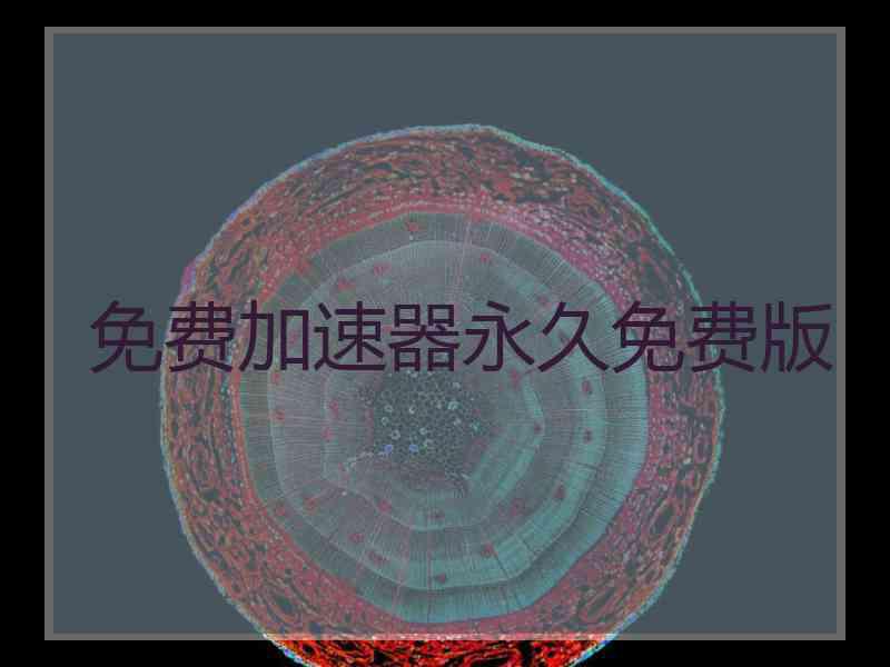 免费加速器永久免费版