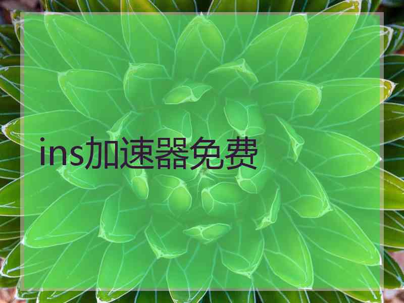 ins加速器免费