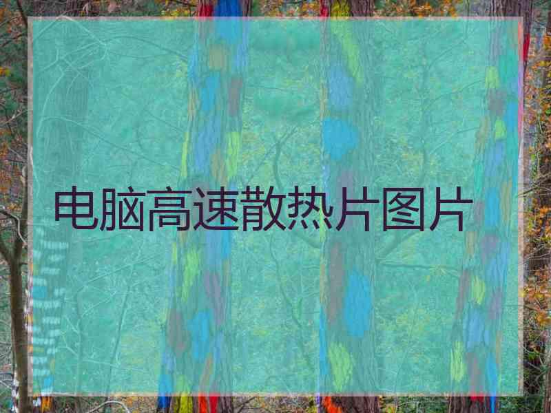 电脑高速散热片图片