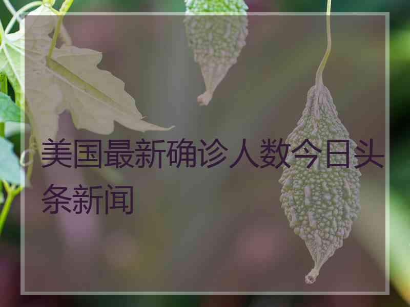 美国最新确诊人数今日头条新闻