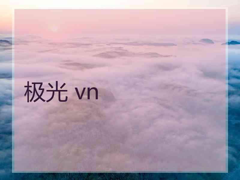 极光 vn