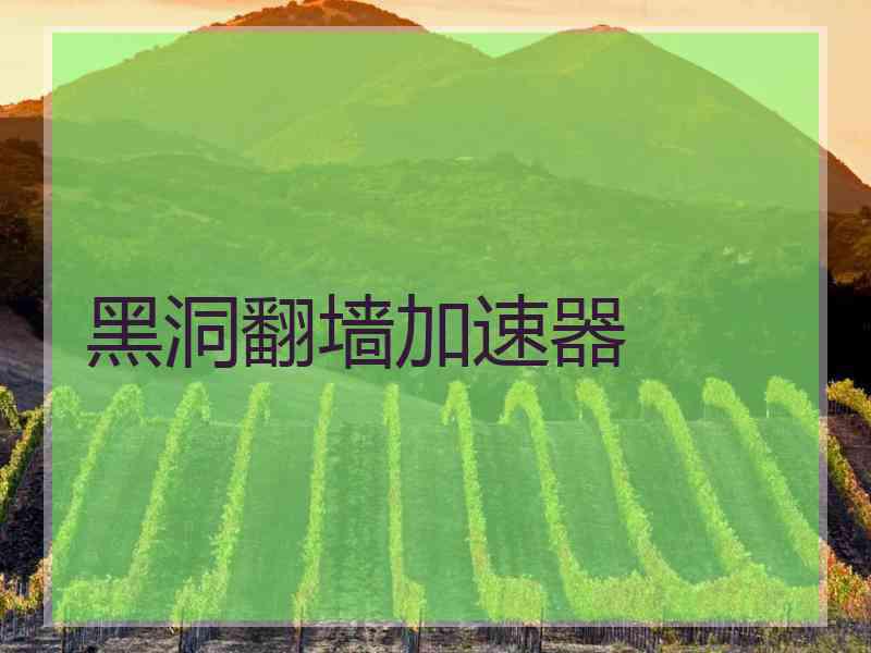 黑洞翻墙加速器