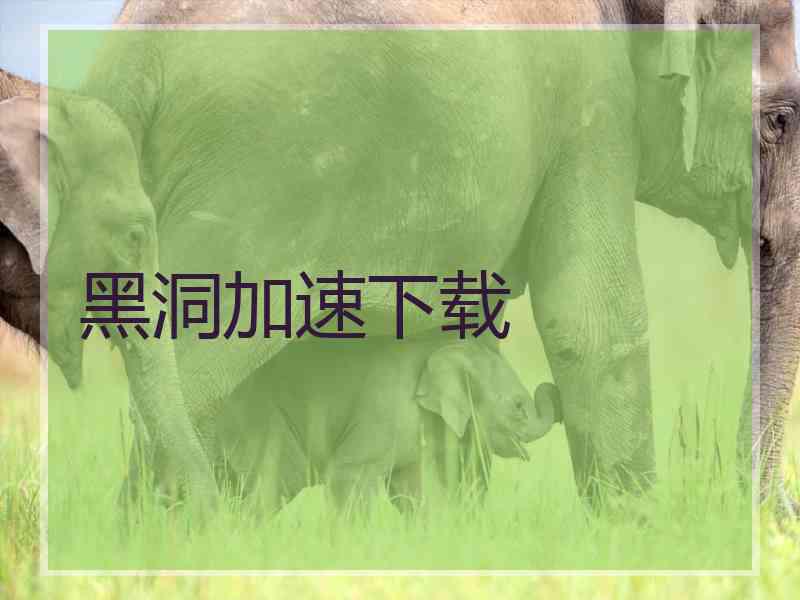 黑洞加速下载