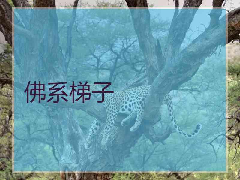 佛系梯子