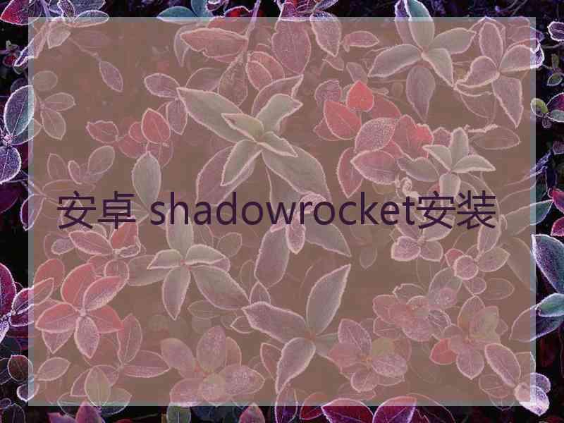 安卓 shadowrocket安装