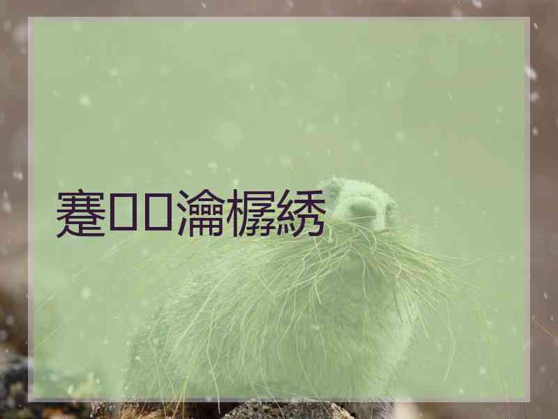 蹇瀹樼綉