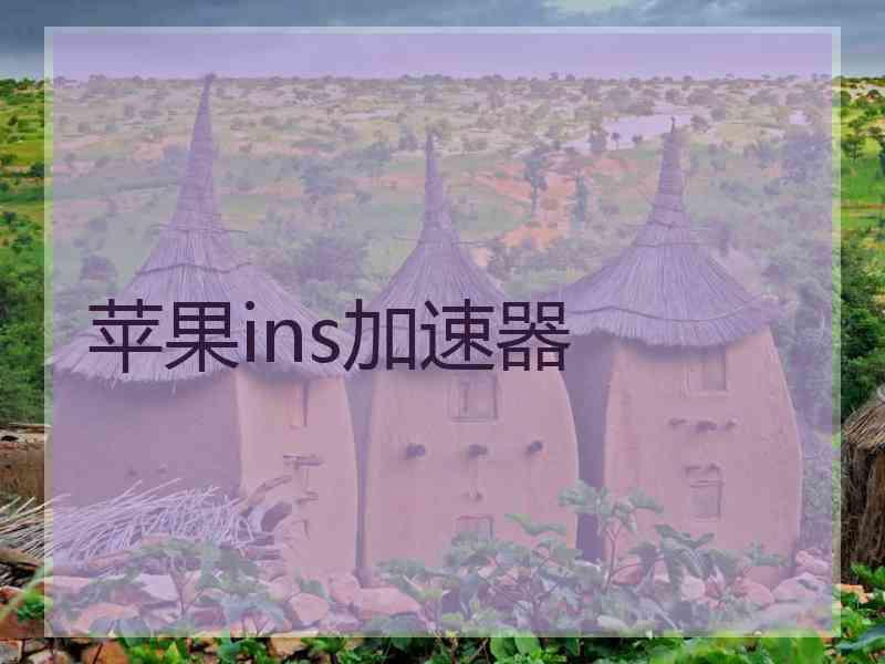 苹果ins加速器