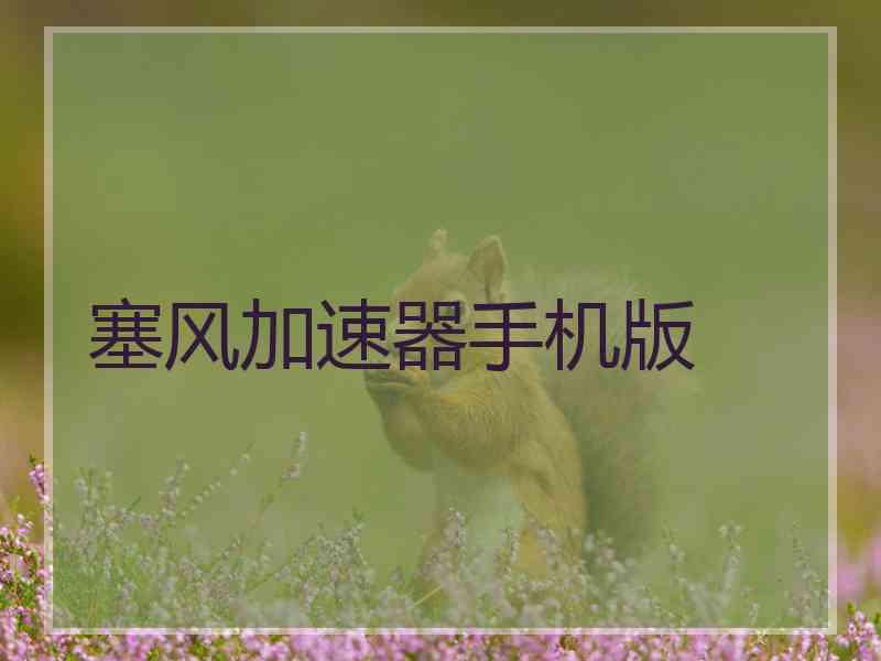 塞风加速器手机版