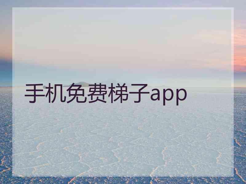 手机免费梯子app