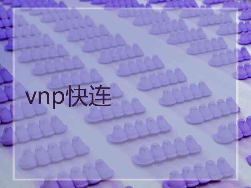 vnp快连