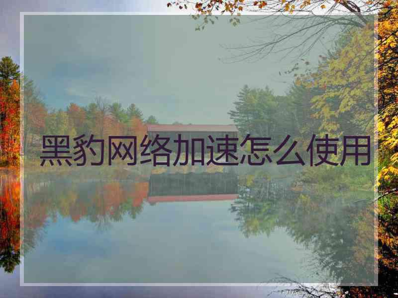 黑豹网络加速怎么使用