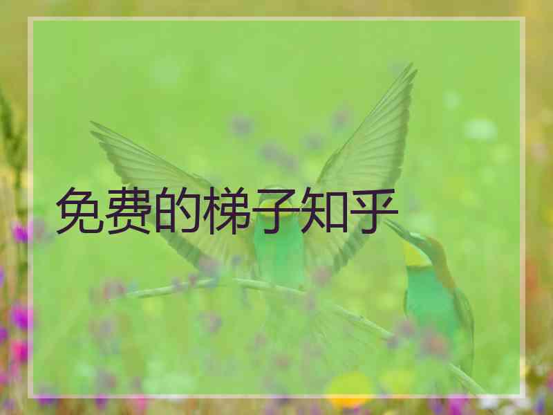 免费的梯子知乎