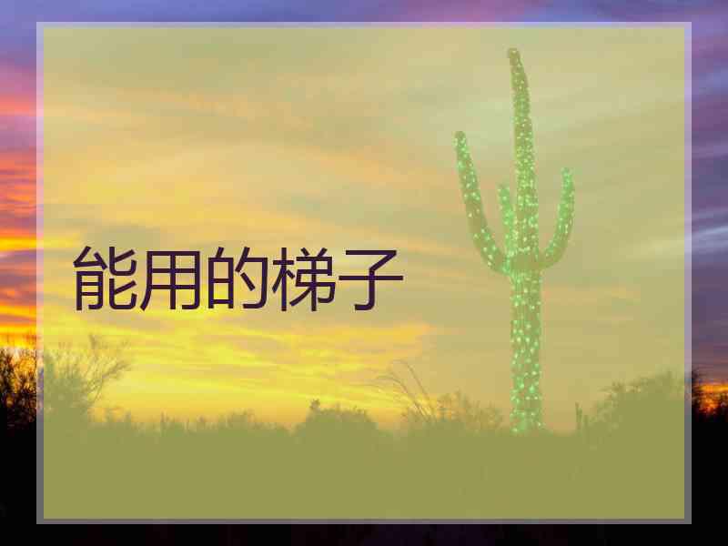 能用的梯子