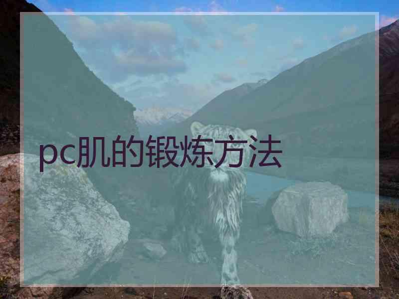 pc肌的锻炼方法